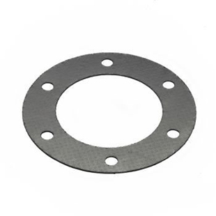 Tanged Metal Reinforced Graphite Gasket